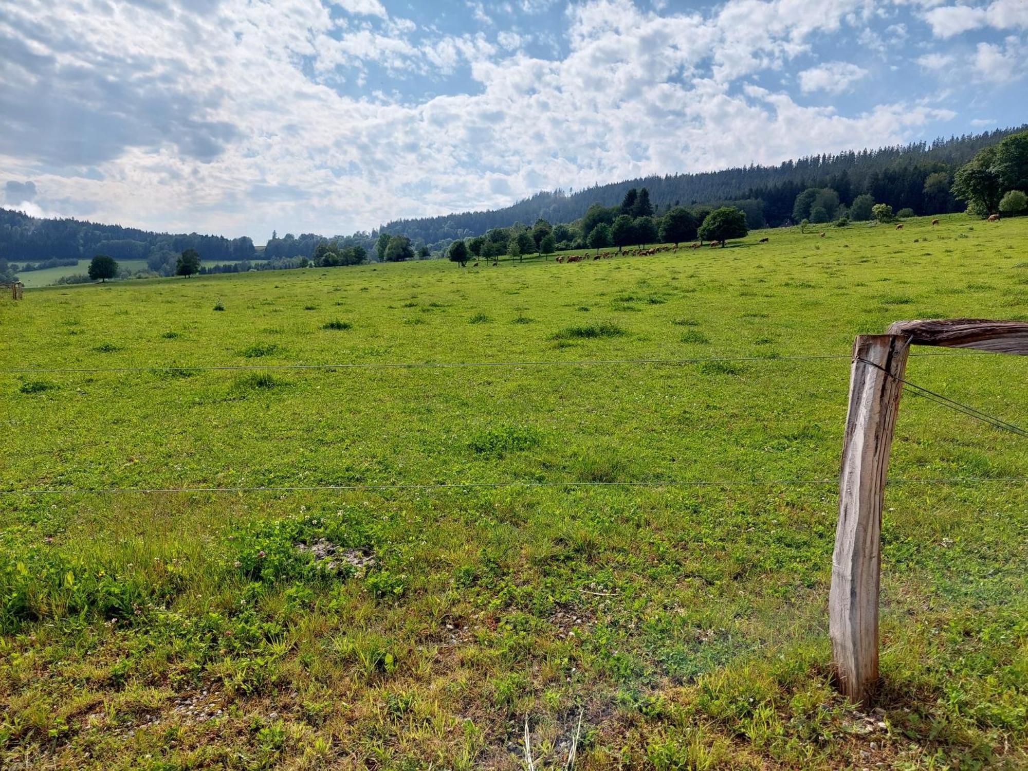 Penzion Slupecna Lipno nad Vltavou Exteriér fotografie